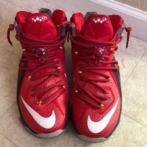 Men’s Nike LeBron shoes